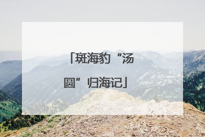 斑海豹“汤圆”归海记