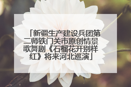 新疆生产建设兵团第二师铁门关市原创情景歌舞剧《石榴花开别样红》将来河北巡演