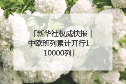 新华社权威快报｜中欧班列累计开行110000列