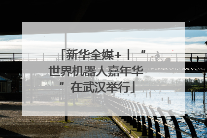 新华全媒+丨“世界机器人嘉年华”在武汉举行