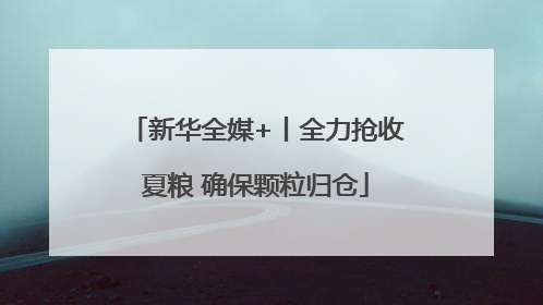 新华全媒+丨全力抢收夏粮 确保颗粒归仓