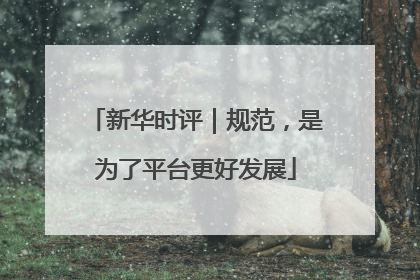 新华时评｜规范，是为了平台更好发展