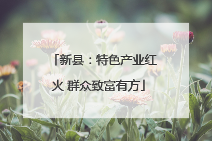 新县：特色产业红火 群众致富有方