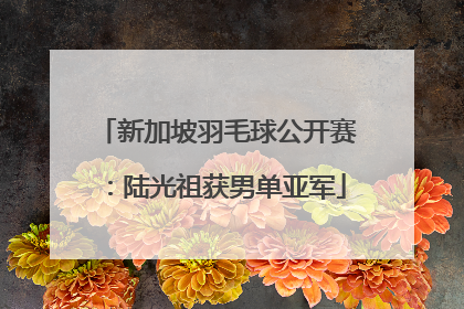 新加坡羽毛球公开赛：陆光祖获男单亚军