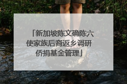 新加坡陈文确陈六使家族后裔返乡调研侨捐基金管理