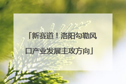 新赛道！洛阳勾勒风口产业发展主攻方向