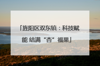 旌阳区双东镇：科技赋能 结满“杏”福果