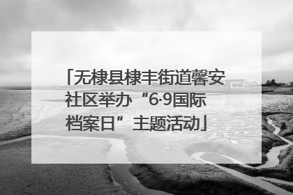 无棣县棣丰街道馨安社区举办“6·9国际档案日”主题活动