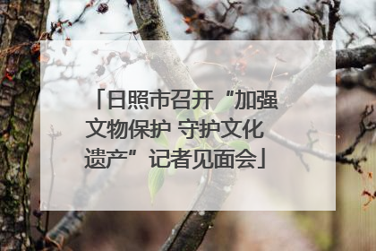 日照市召开“加强文物保护 守护文化遗产”记者见面会