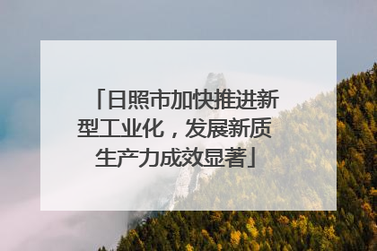 日照市加快推进新型工业化，发展新质生产力成效显著