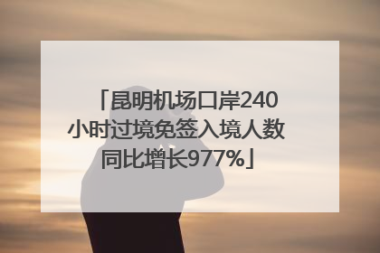 昆明机场口岸240小时过境免签入境人数同比增长977%