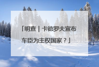 明查｜卡德罗夫宣布车臣为主权国家？