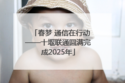 春梦 通信在行动——十堰联通圆满完成2025年