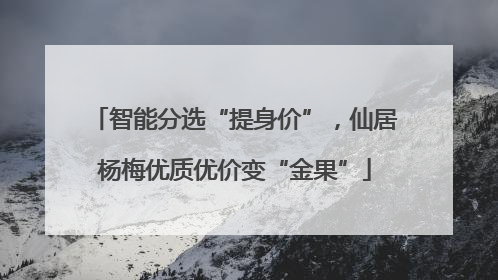 智能分选“提身价”，仙居杨梅优质优价变“金果”