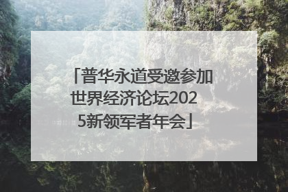 普华永道受邀参加世界经济论坛2025新领军者年会