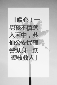 暖心！一男孩不慎落入河中，苏仙公安民辅警纵身一跃硬核救人