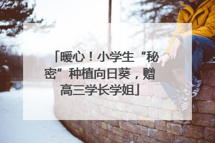暖心！小学生“秘密”种植向日葵，赠高三学长学姐