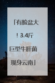 有脸盆大！3.4斤巨型牛肝菌现身云南
