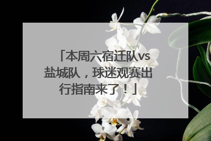 本周六宿迁队vs盐城队，球迷观赛出行指南来了！