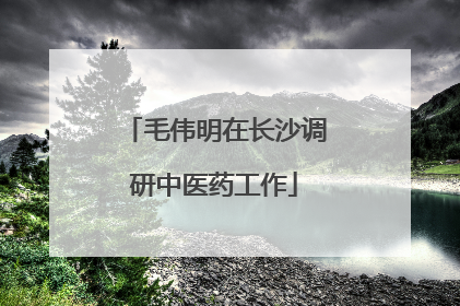 毛伟明在长沙调研中医药工作