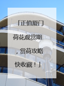 正值厦门荷花观赏期，赏荷攻略快收藏！
