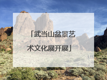武当山盆景艺术文化展开展
