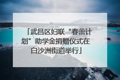 武昌区妇联“春蕾计划”助学金捐赠仪式在白沙洲街道举行