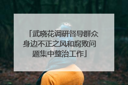 武晓花调研督导群众身边不正之风和腐败问题集中整治工作