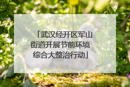 武汉经开区军山街道开展节前环境综合大整治行动