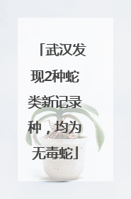 武汉发现2种蛇类新记录种，均为无毒蛇