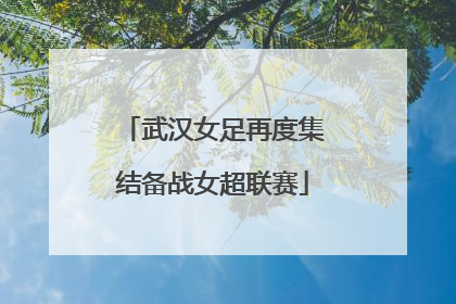 武汉女足再度集结备战女超联赛