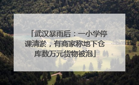 武汉暴雨后：一小学停课清淤，有商家称地下仓库数万元货物被泡