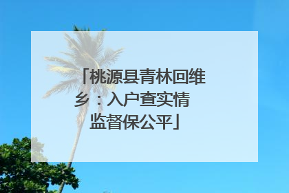 桃源县青林回维乡：入户查实情 监督保公平