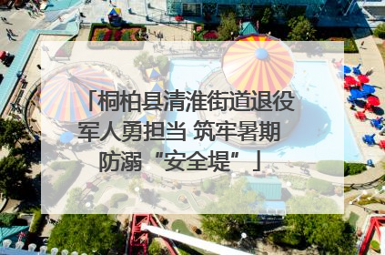 桐柏县清淮街道退役军人勇担当 筑牢暑期防溺“安全堤”