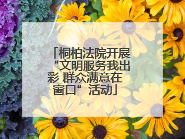 桐柏法院开展“文明服务我出彩 群众满意在窗口”活动