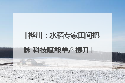桦川：水稻专家田间把脉 科技赋能单产提升