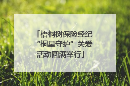 梧桐树保险经纪“桐星守护”关爱活动圆满举行
