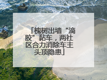 槐树出墙“滴胶”黏车，两社区合力消除车主头顶隐患