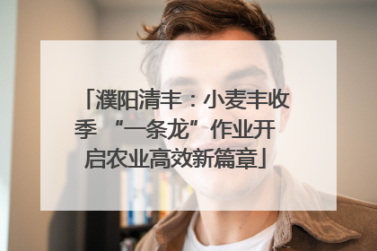 濮阳清丰：小麦丰收季 “一条龙”作业开启农业高效新篇章