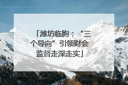 潍坊临朐：“三个导向”引领财会监督走深走实