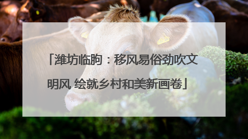 潍坊临朐：移风易俗劲吹文明风 绘就乡村和美新画卷