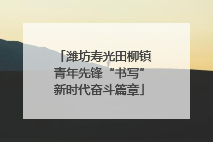潍坊寿光田柳镇青年先锋“书写”新时代奋斗篇章