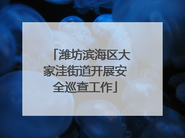潍坊滨海区大家洼街道开展安全巡查工作