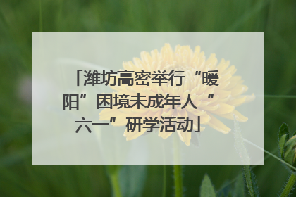 潍坊高密举行“暖阳”困境未成年人“六一”研学活动