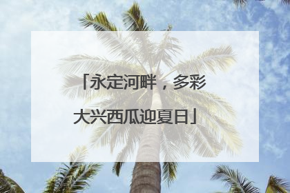 永定河畔，多彩大兴西瓜迎夏日