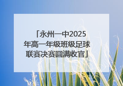 永州一中2025年高一年级班级足球联赛决赛圆满收官
