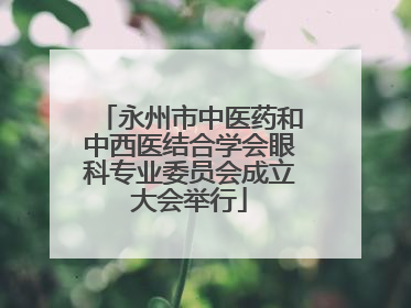 永州市中医药和中西医结合学会眼科专业委员会成立大会举行