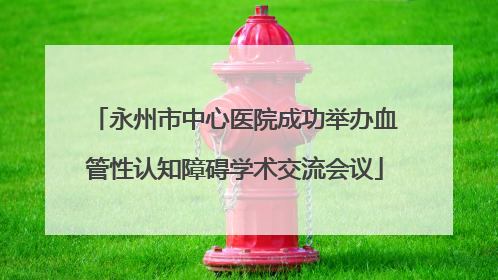 永州市中心医院成功举办血管性认知障碍学术交流会议