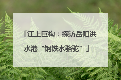 江上巨构：探访岳阳洪水港“钢铁水骆驼”