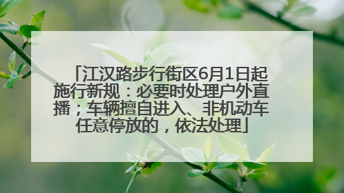 江汉路步行街区6月1日起施行新规：必要时处理户外直播；车辆擅自进入、非机动车任意停放的，依法处理